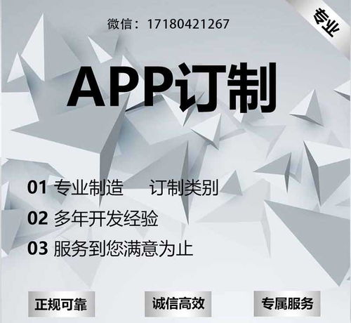东莞档案管理软件定制开发公司匠人精神用心服务 梦幻网络